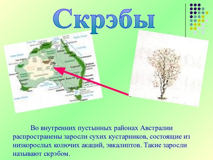 Скрэбы     Во внутренних пустынных районах Австралии распространены заросли