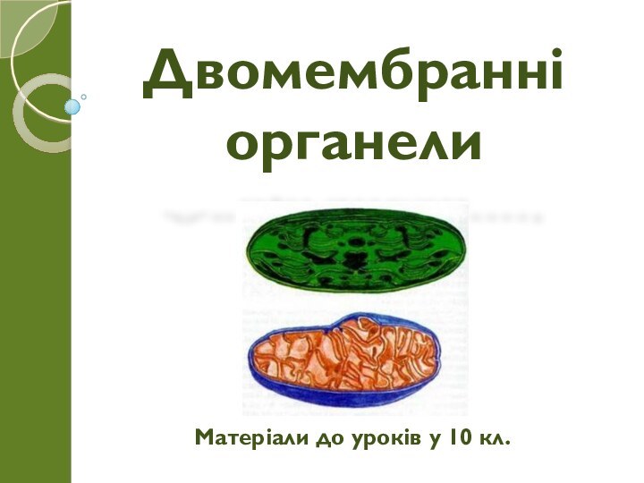 Двомембранні органелиМатеріали до уроків у 10 кл.