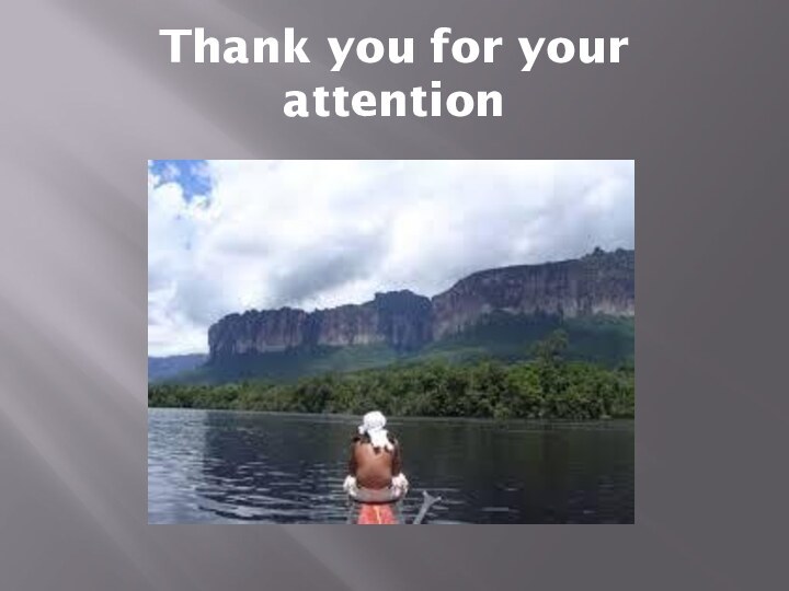 Thank you for your attention