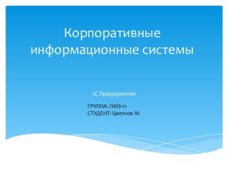 Корпоративные информационные системы