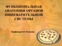 ФУНКЦИОНАЛЬНАЯ АНАТОМИЯ ОРГАНОВ ПИЩЕВАРИТЕЛЬНОЙ СИСТЕМЫ