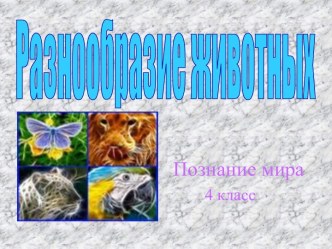 Разнообразие животных