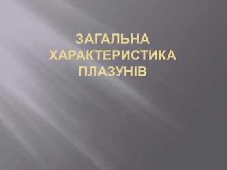 Загальна характеристика   Плазунів