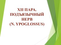 Подъязычный нерв (n. ypoglossus)