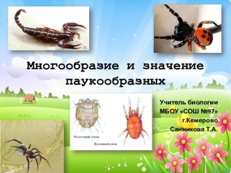 Многообразие и значение паукообразных