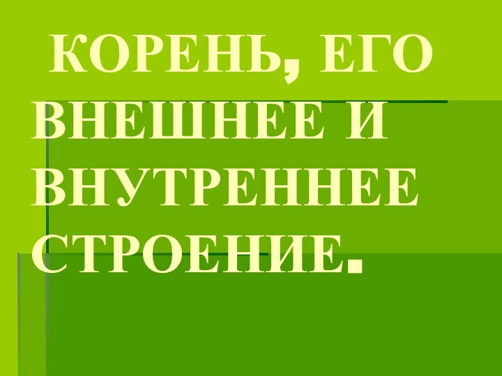 КОРЕНЬ, ЕГО ВНЕШНЕЕ И ВНУТРЕННЕЕ СТРОЕНИЕ.