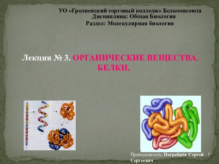 Преподаватель: Погребнёв Сергей СергеевичЛекция № 3. ОРГАНИЧЕСКИЕ ВЕЩЕСТВА. БЕЛКИ.УО «Гродненский торговый колледж»