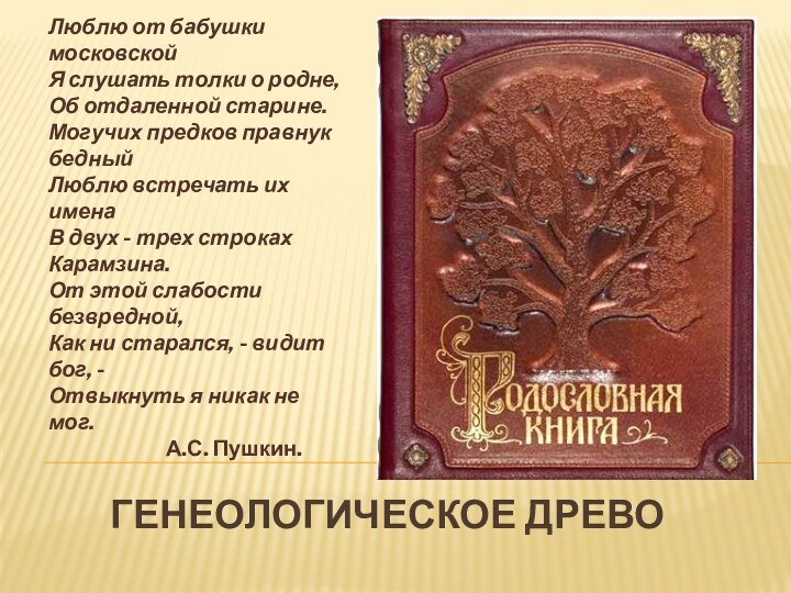 Генеологическое древоЛюблю от бабушки московской Я слушать толки о родне, Об отдаленной