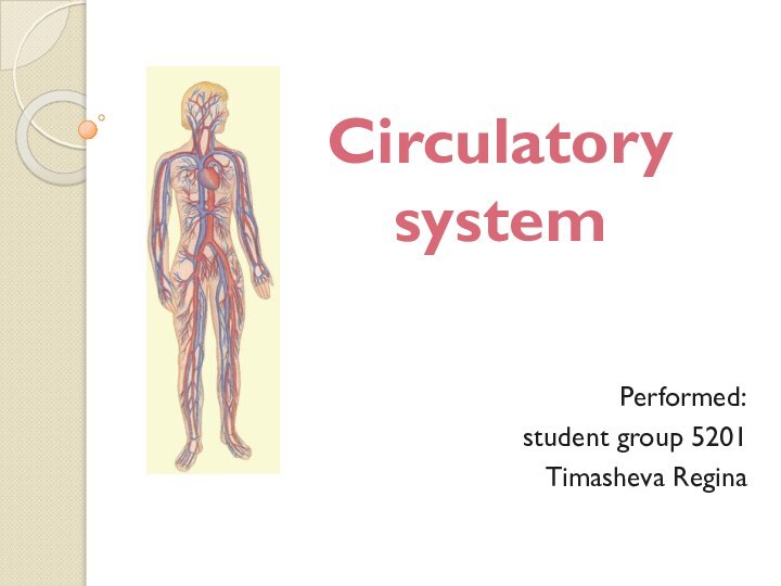 Circulatory system Performed:student group 5201Timasheva Regina