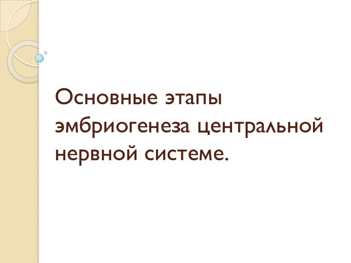 Основные этапы эмбриогенеза центральной нервной системе.