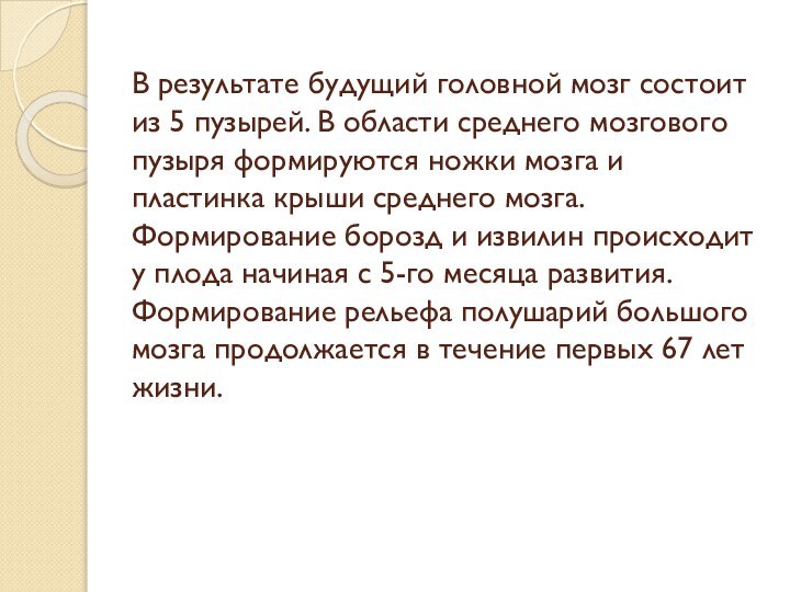 В результате будущий головной мозг состоит из 5 пузырей. В области среднего