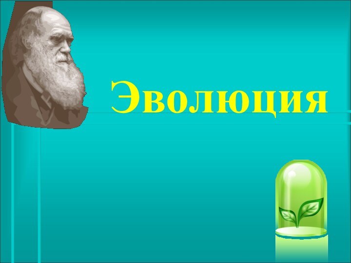 Эволюция