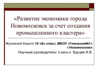 Развитие экономики города Новомосковск за счет создания промышленного кластера