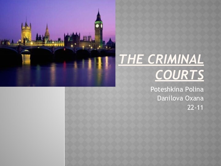 The Criminal CourtsPoteshkina PolinaDanilova Oxana22-11