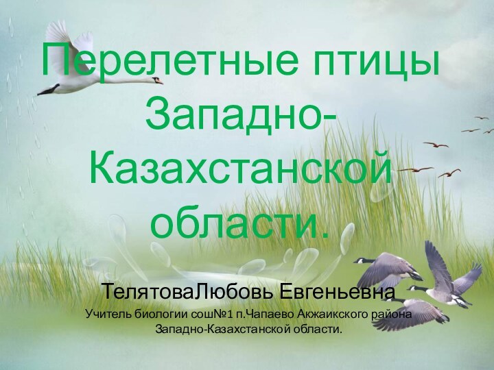 Перелетные птицы Западно-Казахстанской области.ТелятоваЛюбовь ЕвгеньевнаУчитель биологии сош№1 п.Чапаево Акжаикского района Западно-Казахстанской области.