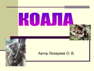 Коала