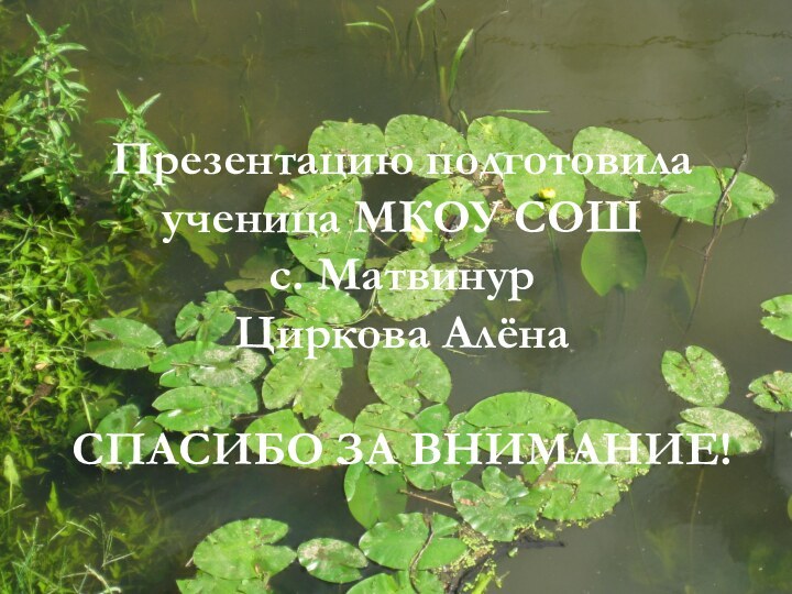 Презентацию подготовила ученица МКОУ СОШ с. Матвинур Циркова АлёнаСПАСИБО ЗА ВНИМАНИЕ!