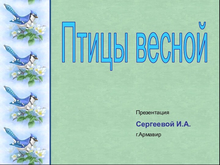 Птицы веснойПрезентацияСергеевой И.А.г.Армавир