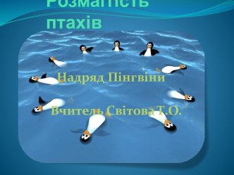 Розмаїтість птахів