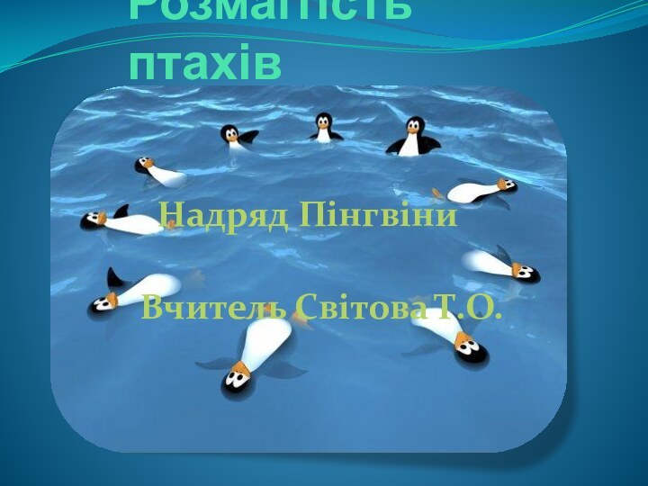 Розмаїтість птахів Надряд ПінгвіниВчитель Світова Т.О.