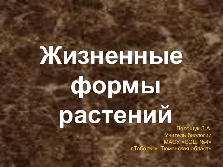 Жизненные формы растений Волощук Л.А. Учитель биологииМАОУ «СОШ №4»г.Тобольск, Тюменская область