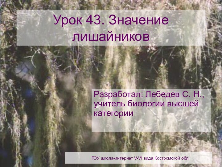 ГОУ школа-интернат V-VI вида Костромской обл.Урок 43. Значение лишайниковРазработал: Лебедев С. Н.,