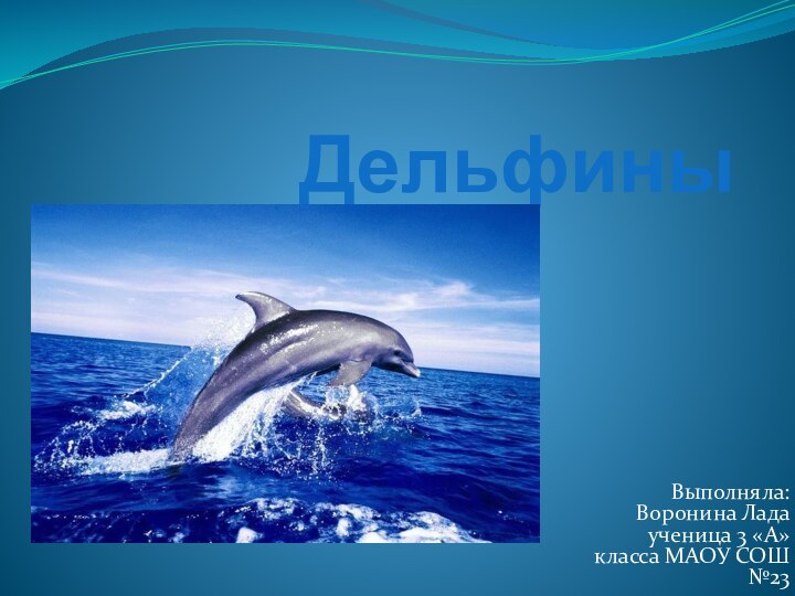 ДельфиныВыполняла: Воронина Лада ученица 3 «А» класса МАОУ СОШ №23
