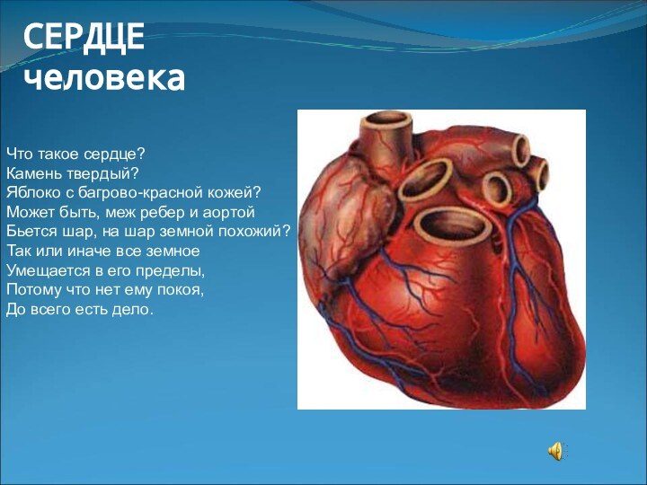 СЕРДЦЕ человекаЧто такое сердце?Камень твердый?Яблоко с багрово-красной кожей?Может быть, меж ребер и