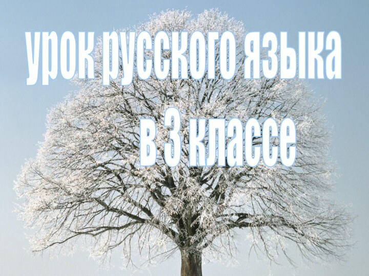 урок русского языка      в 3 классе