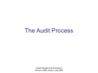 The Audit Process