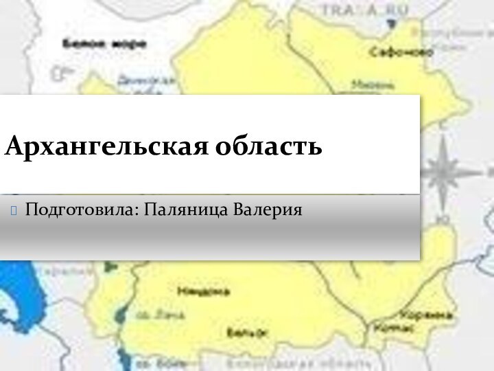 Архангельская областьПодготовила: Паляница Валерия