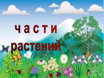 Части растений