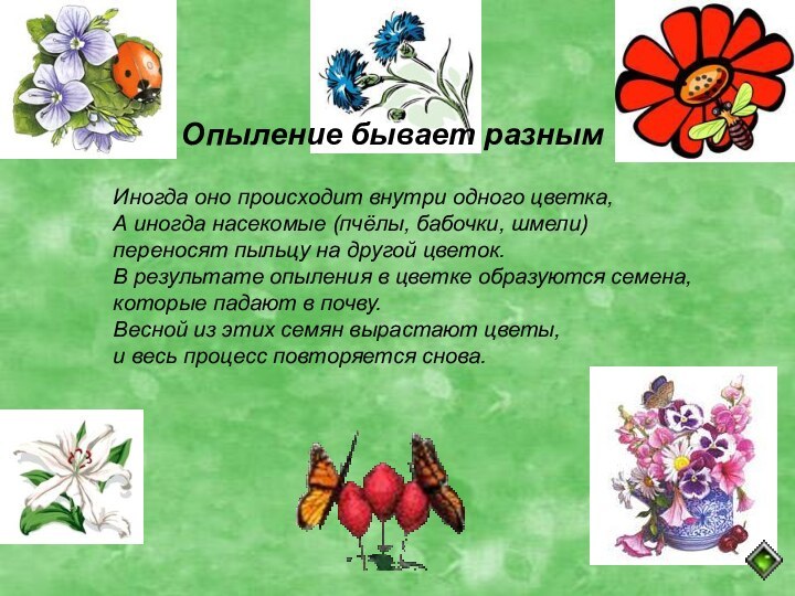 Опыление бывает разнымИногда оно происходит внутри одного цветка,А иногда насекомые (пчёлы, бабочки,