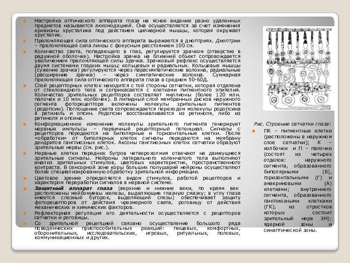 Настройка оптического аппарата глаза на ясное видение разно удаленных предметов называется аккомодацией.