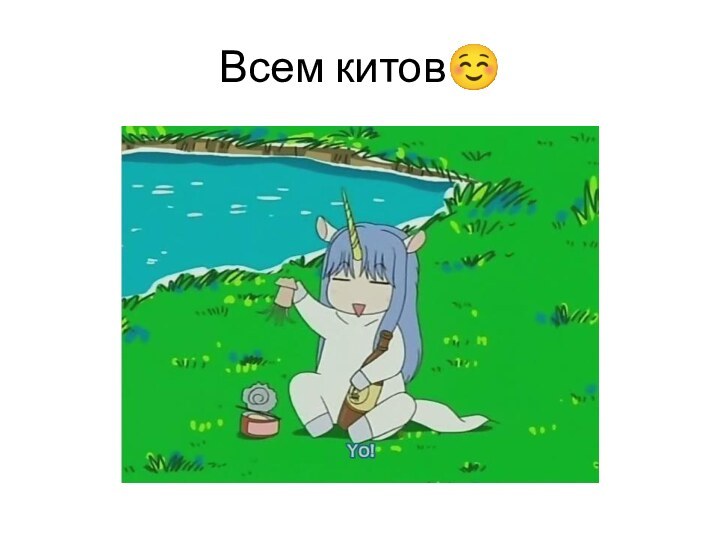 Всем китов