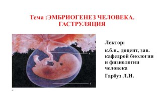 Тема :ЭМБРИОГЕНЕЗ ЧЕЛОВЕКА. ГАСТРУЛЯЦИЯ