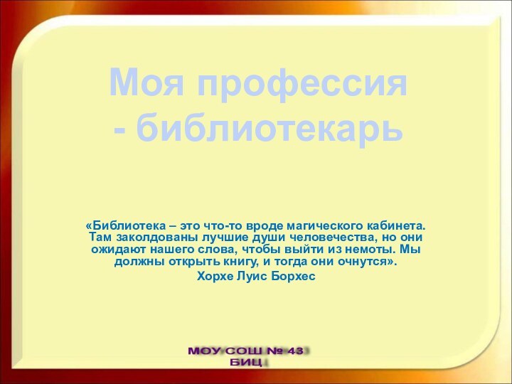 «Библиотека – это что-то вроде магического кабинета. Там заколдованы лучшие души человечества,