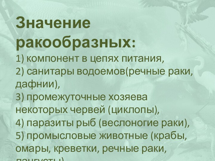 Значение ракообразных:1) компонент в цепях питания,2) санитары водоемов(речные раки, дафнии),3) промежуточные хозяева