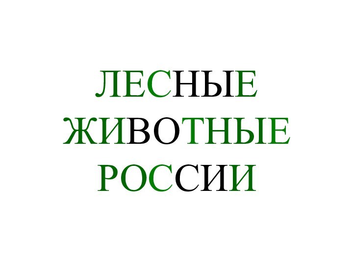 ЛЕСНЫЕ ЖИВОТНЫЕ РОССИИ