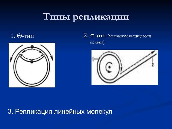 Типы репликации1. Θ-тип2. σ-тип (механизм катящегося кольца)3. Репликация линейных молекул