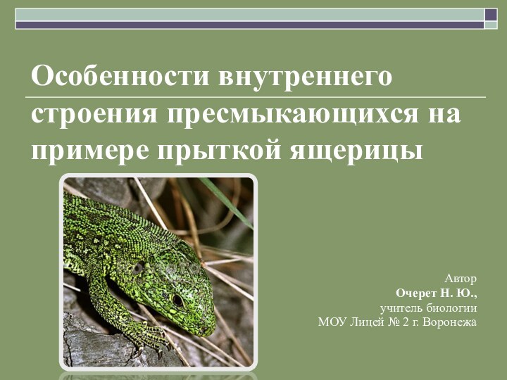 Особенности внутреннего строения пресмыкающихся на примере прыткой ящерицыАвторОчерет Н. Ю., учитель биологииМОУ