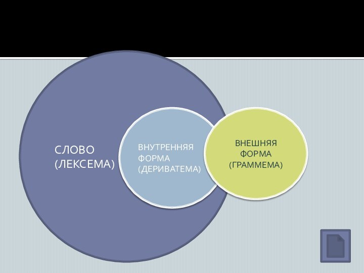 СЛОВО (ЛЕКСЕМА)ВНУТРЕННЯЯ ФОРМА (ДЕРИВАТЕМА)ВНЕШНЯЯ ФОРМА (ГРАММЕМА)