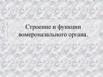 Строение и функции вомероназального органа