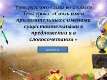 Связь имён прилагательных с именами существительными в предложении и в словосочетании