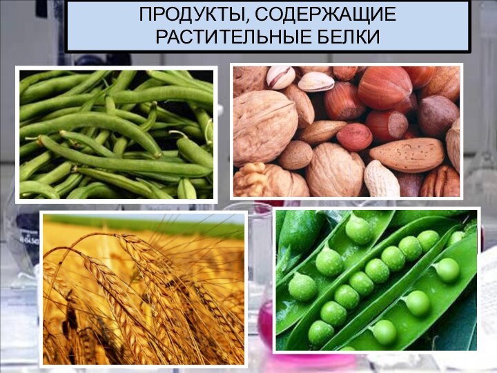 ПРОДУКТЫ, СОДЕРЖАЩИЕ РАСТИТЕЛЬНЫЕ БЕЛКИ