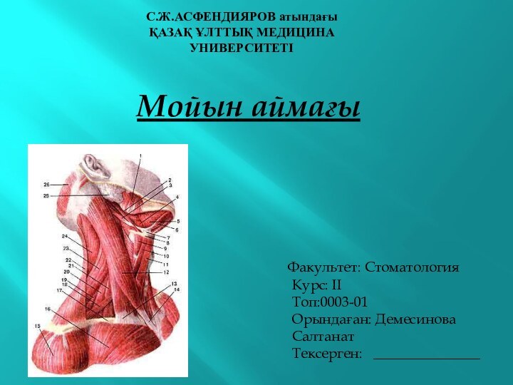 Мойын аймағы	Факультет: Стоматология Курс: II Топ:0003-01 Орындаған: Демесинова Салтанат Тексерген:  _______________