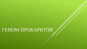 Геном прокаріотів