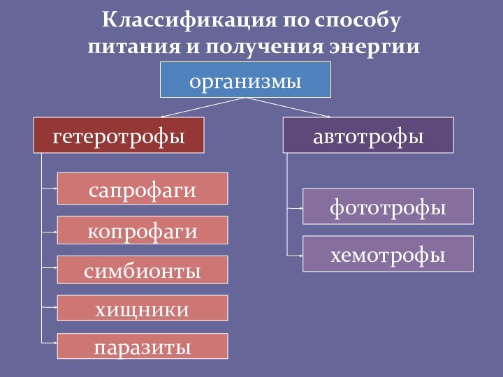 Классификация по способу   питания и получения энергииорганизмыавтотрофыгетеротрофысимбионтыкопрофагисапрофагихемотрофыфототрофыхищникипаразиты