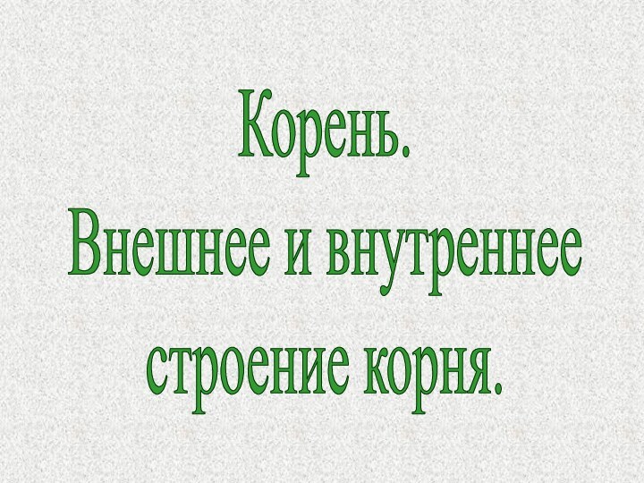 Корень.Внешнее и внутреннеестроение корня.