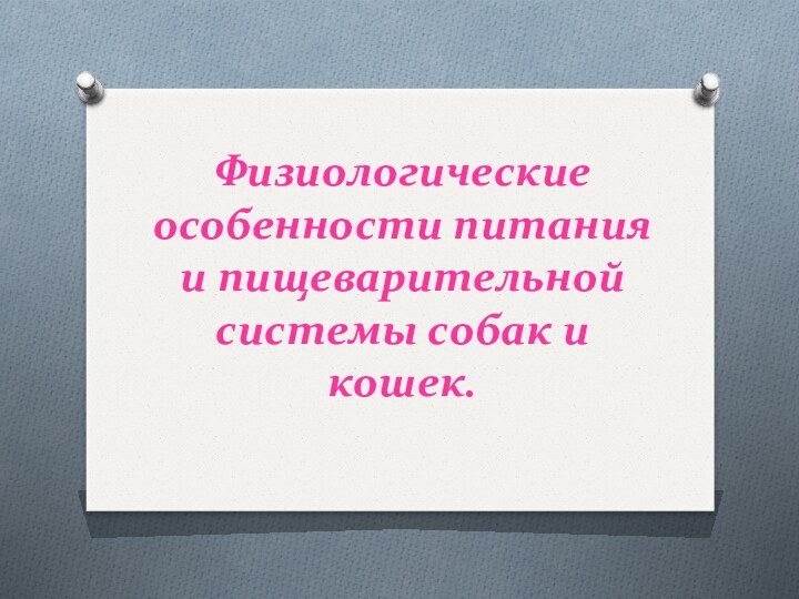 Физиологические особенности питания и пищеварительной системы собак и кошек. 